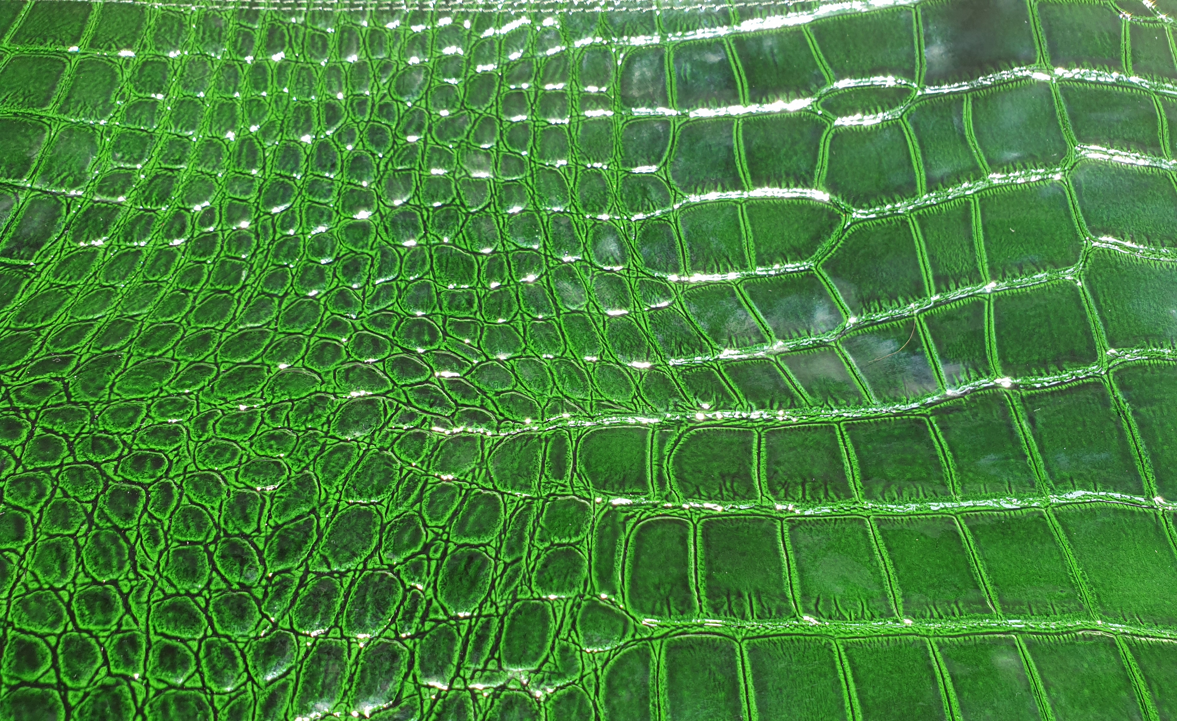 Pasaníčko / spisovka - kroko zelená